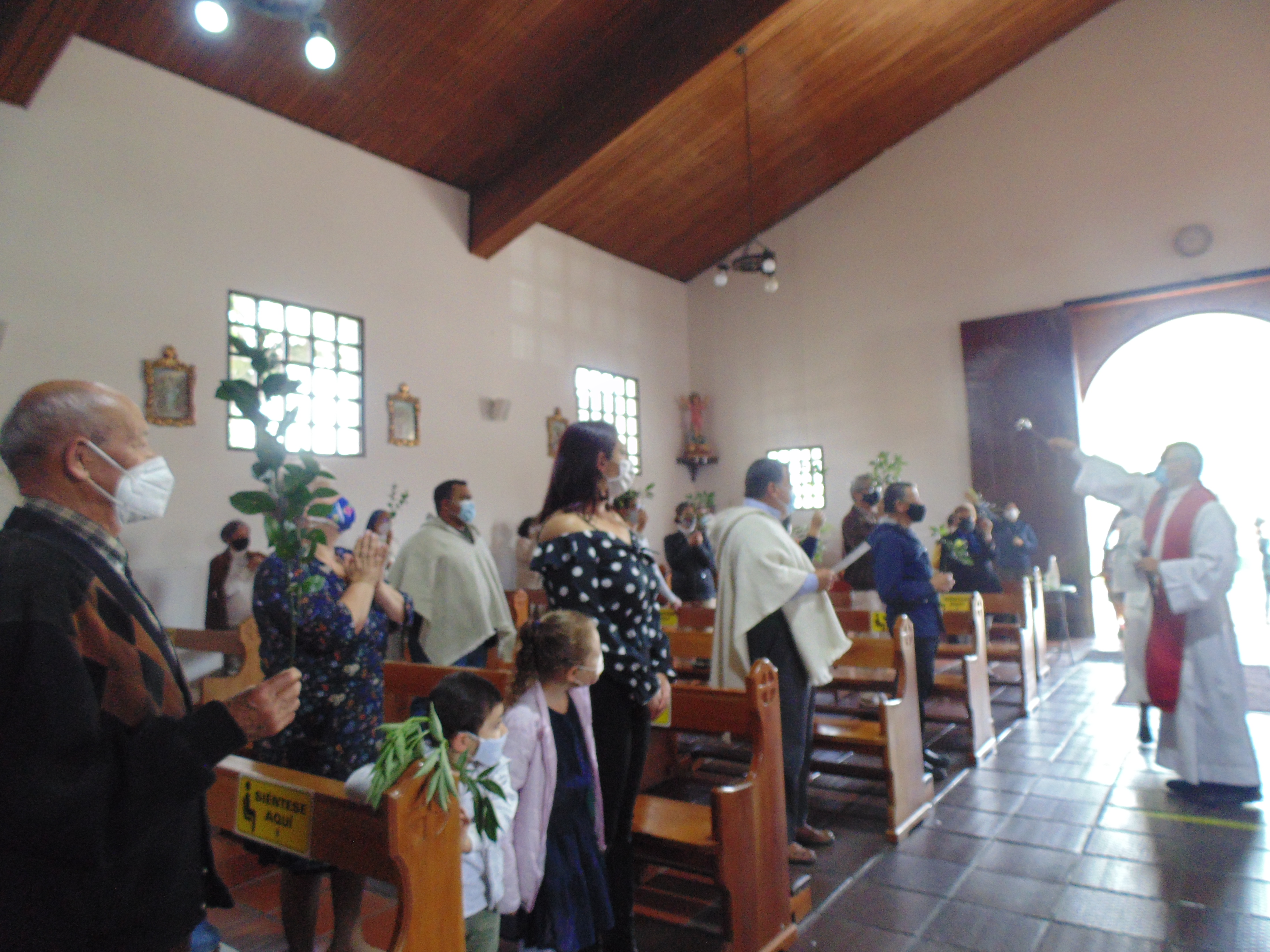 Domingo de ramos