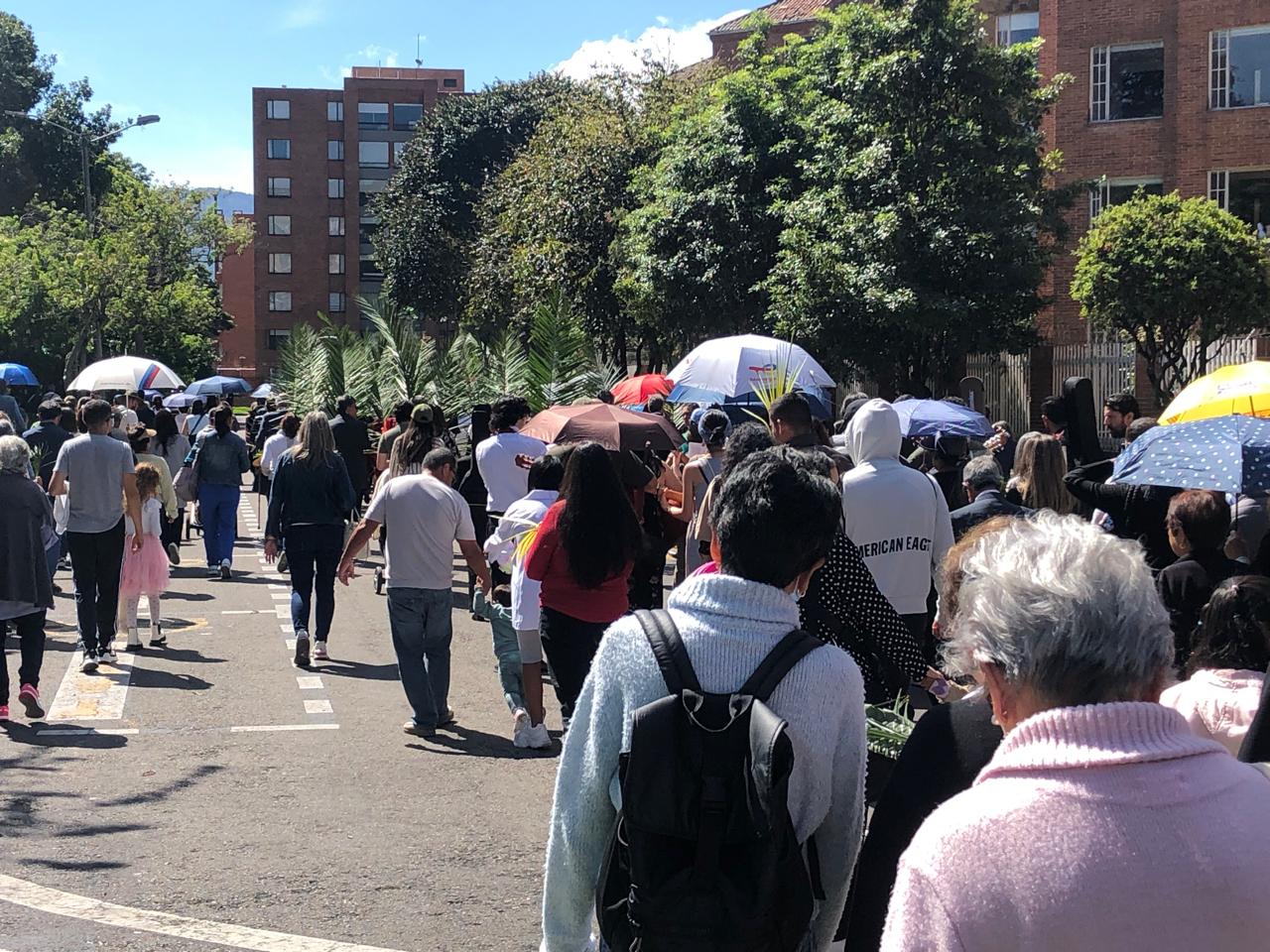 Domingo de Ramos 2025 6