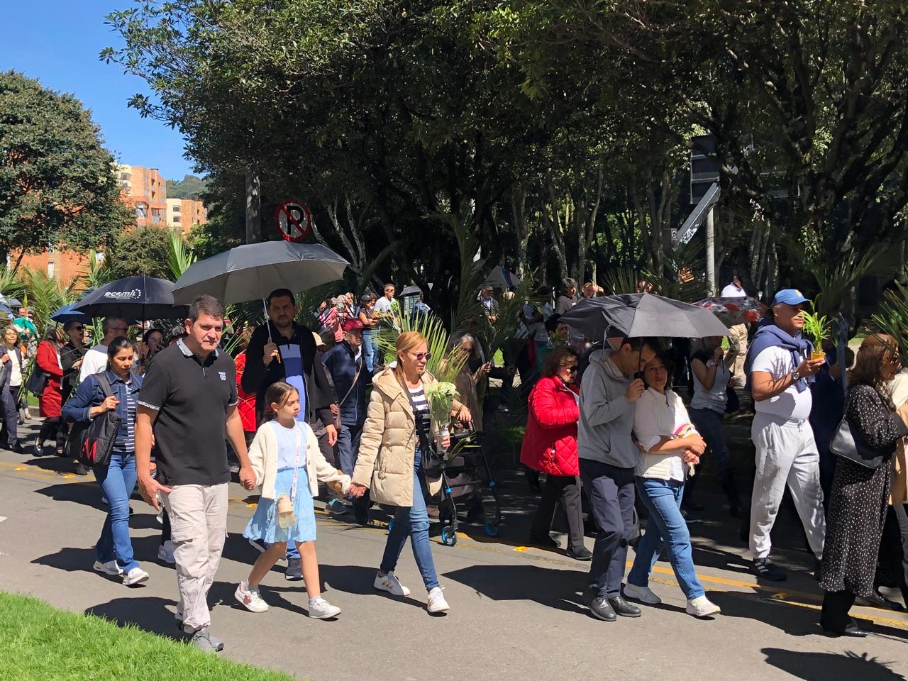 Domingo de Ramos 2025 8