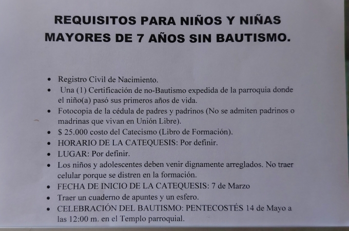 Adultos