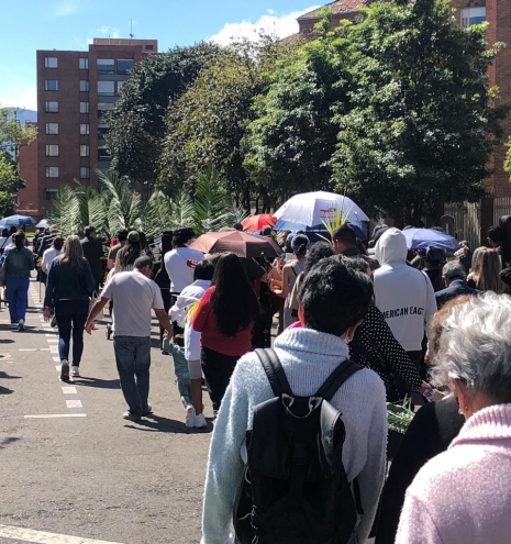 Domingo de Ramos 2025 6