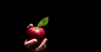 Manzana tentación