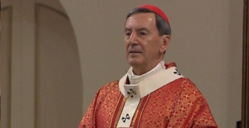 https://arquimedia.s3.amazonaws.com/51/noticias/cardenaljpg.jpg
